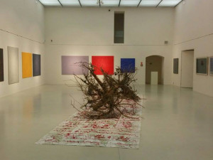 V galerii začala trojice výstav, na jedné jsou pařezy