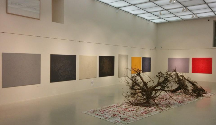 V galerii začala trojice výstav, na jedné jsou pařezy