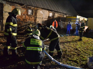 Zatoulaný kůň skončil v jímce, hasiči ho vyprošťovali skoro tři hodiny