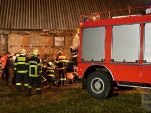 Zatoulaný kůň skončil v jímce, hasiči ho vyprošťovali skoro tři hodiny