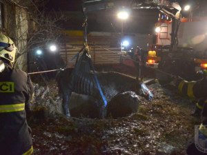 Zatoulaný kůň skončil v jímce, hasiči ho vyprošťovali skoro tři hodiny