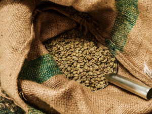 Unikátní pražírna kávy v Turnově si zapamatuje pražící proces každého zákazníka