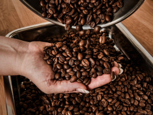 Unikátní pražírna kávy v Turnově si zapamatuje pražící proces každého zákazníka