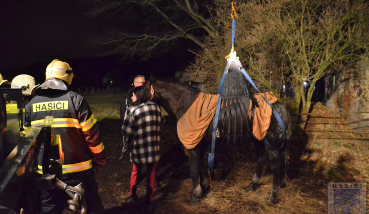 Zatoulaný kůň skončil v jímce, hasiči ho vyprošťovali skoro tři hodiny