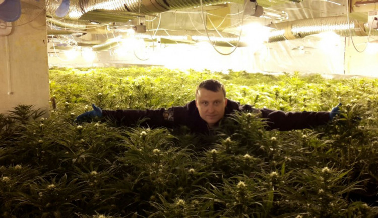 Na slovíčko s Pavlem Folprechtem, vedoucím policejního protidrogového Toxi týmu