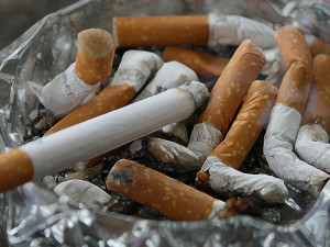 Kuřáci si možná nezapálí ani v zoo a na otevřených zastávkách