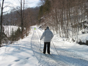 V nížinách není po sněhu ani památky, lyžařská sezona na horách zatím ale ohrožena není