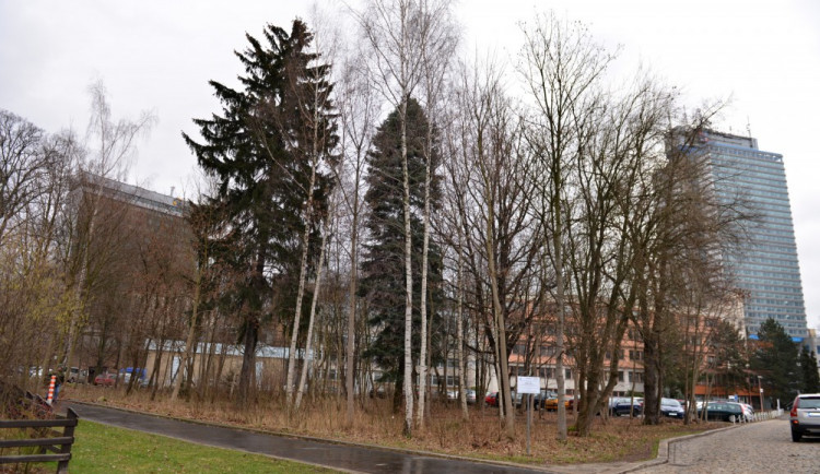 Tady vznikne pěkné místo