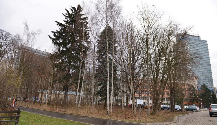 Park za Domem kultury