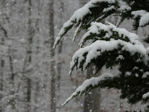 Zima se ještě nevzdává. Meteorologové vydali varování před silným sněžením