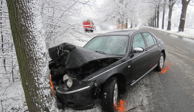 Řidič Roveru zranil sebe i spolujezdkyni. U Hajniště narazil do stromu