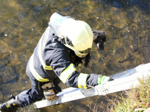 Promrzlého pejska dostali s koryta Nisy až hasiči. Během pár minut se mohl vrátit k majitelce