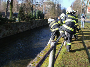 Promrzlého pejska dostali s koryta Nisy až hasiči. Během pár minut se mohl vrátit k majitelce
