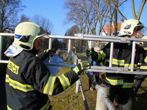 Promrzlého pejska dostali s koryta Nisy až hasiči. Během pár minut se mohl vrátit k majitelce