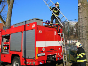 Promrzlého pejska dostali s koryta Nisy až hasiči. Během pár minut se mohl vrátit k majitelce
