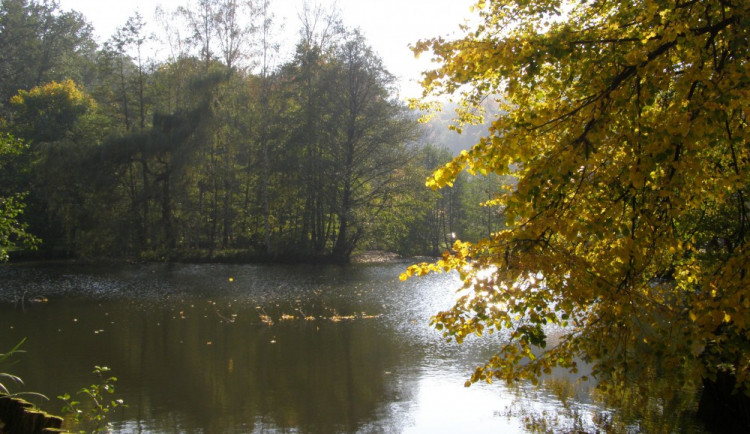 Zámecký rybník ve Frýdlantu se letos zřejmě dočká obnovy