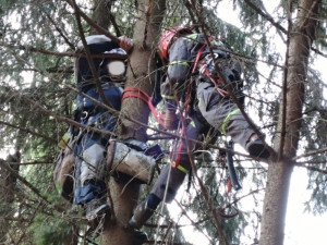 Hasiči sundávali bezmocného paraglidistu ze stromu