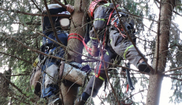 Hasiči sundávali bezmocného paraglidistu ze stromu