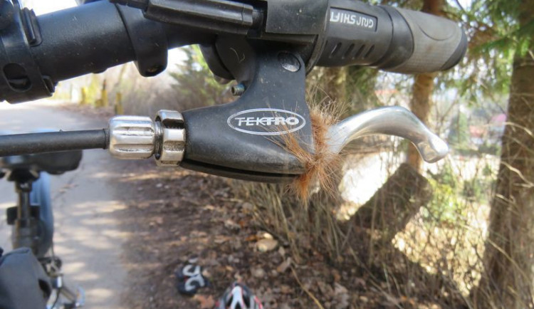 Kolo po střetu s koněm