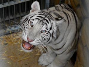 Matka Surya má na focení názor jasný.