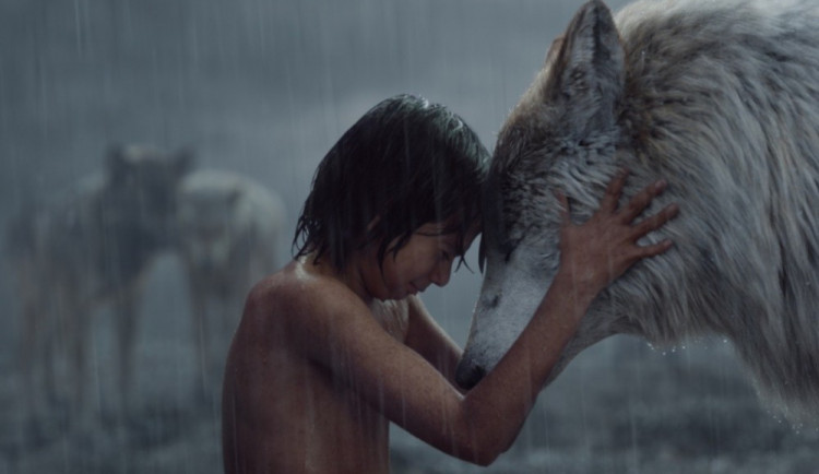 RECENZE: Nová Kniha Džunglí je podmanivým vizuálním skvostem, který si užijí i dospělí