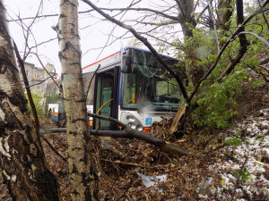 Autobus projel křižovatkou na Františkově a zastavil se až v příkopu