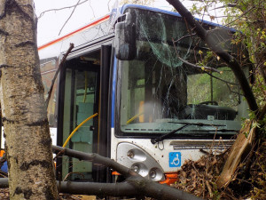 Autobus projel křižovatkou na Františkově a zastavil se až v příkopu