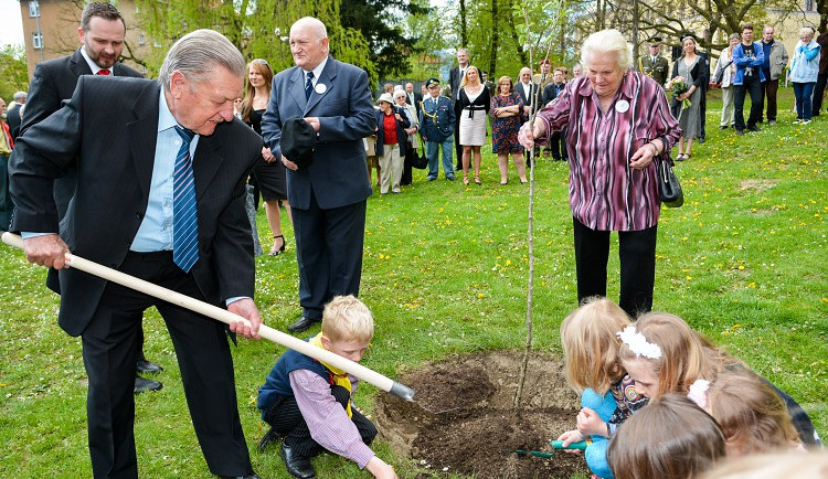 Liberec má Lidickou hrušeň, je přímým potomkem stromu z Lidic