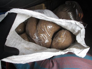 Liberečtí celníci odhalili 60 kilogramů nezdaněného tabáku