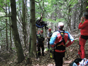 Paraglidista se prolétl jen 150 metrů, ze stromu ho museli sundat hasiči
