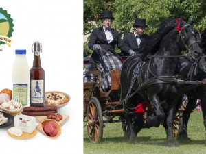 Den koně v Lomnici nad Popelkou doplní ochutnávka regionálních potravin