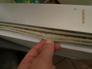 Inspekce uzavřela Bistro U Martina u harcovských kolejí