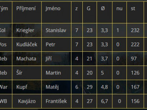 Statistiky brankářů