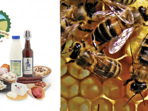 Krajský den včely a mladých včelařů láká mimo jiné na regionální potraviny