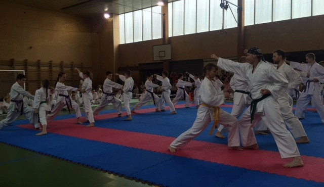 Oddílová soutěž SK Karate – Shotokan Liberec přilákala téměř 300 návštěvníků