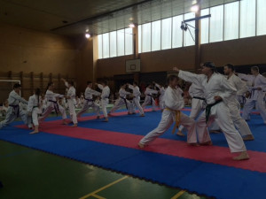 Oddílová soutěž SK Karate – Shotokan Liberec přilákala téměř 300 návštěvníků