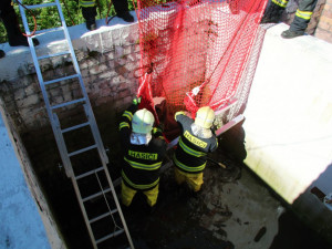 Hasiči zachraňovali srnce, který spadl do jímky