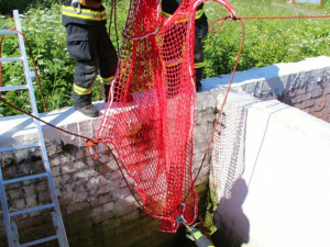 Hasiči zachraňovali srnce, který spadl do jímky