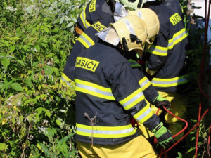 Hasiči zachraňovali srnce, který spadl do jímky