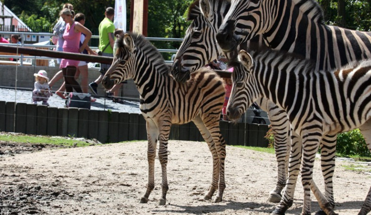 V popředí Keshia, vzadu Jamie