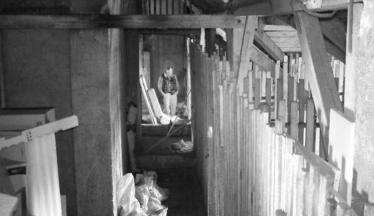 Snímek zloděje v Liebiegově paláci