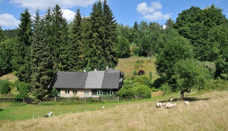 Pastva v Lukášově