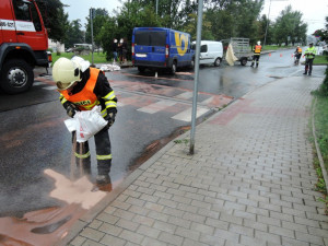 Nehoda dvou aut si vyžádala zranění jednoho člověka a psa