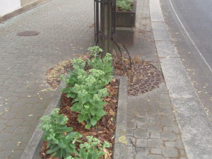 Cesta k Besedě prokoukla.