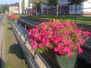 Květináče Na Bídě