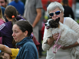 Návštěvníci slavností