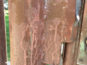 Msta za štěkot? V Růžodole kdosi polil psa kyselinou