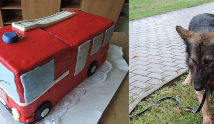 Vděčný majitel zachráněného psa připravil pro hasiče sladkou odměnu