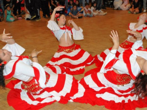 Festival národnostních menšin přilákal do Domu kultury na tisícovku tanečníků