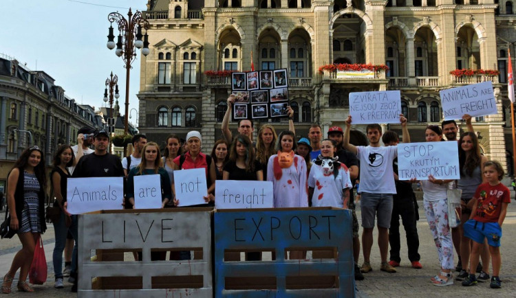 Před libereckou radnicí se demonstrovalo. Několik desítek lidí vyjádřilo nesouhlas s utrpením zvířat